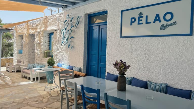 Pelao 1